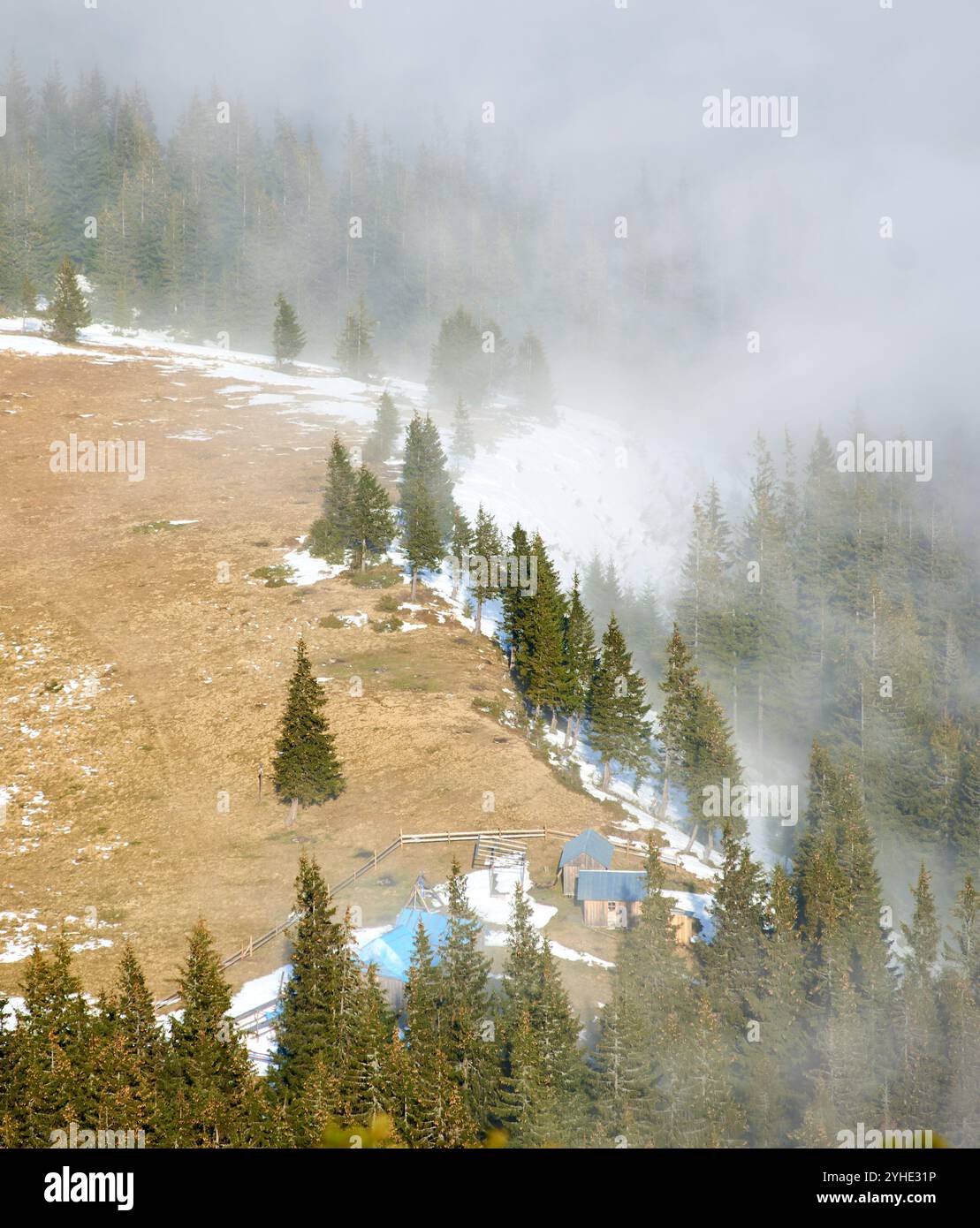 Kleine Hütte eingebettet in die Rodung am Berg, umgeben von dichten Kiefernwäldern. Die in Nebel gehüllte Szene schafft eine ruhige und geheimnisvolle Atmosphäre. Schneebesen liegen auf dem Boden. Stockfoto