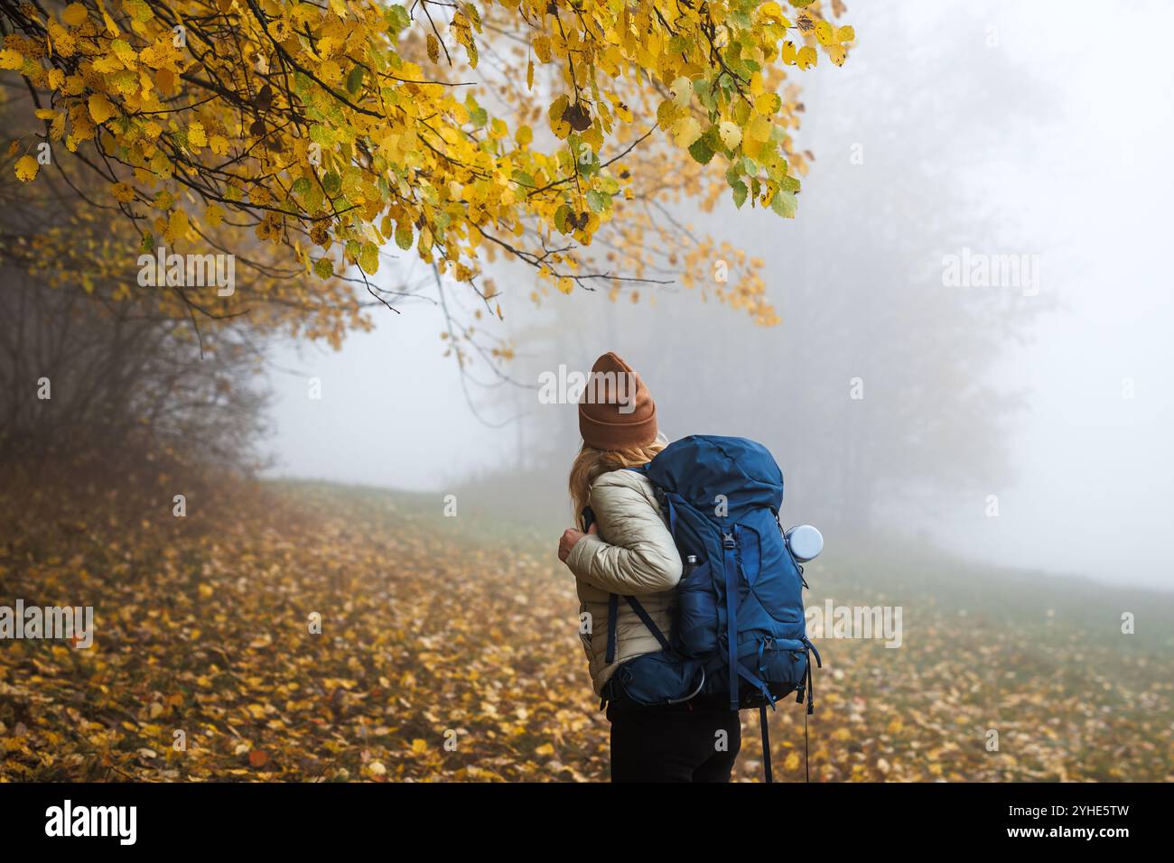 Weibliche Alleinwanderer wandern auf dem Trekkingpfad im nebeligen Wald. Frau Tourist mit Rucksack Wandern im Herbst Stockfoto