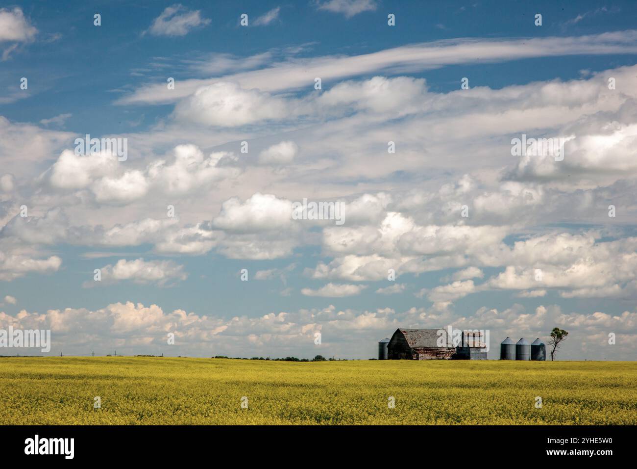 Farm und Scheune in der Nähe von Souris, Manitoba, Kanada Stockfoto