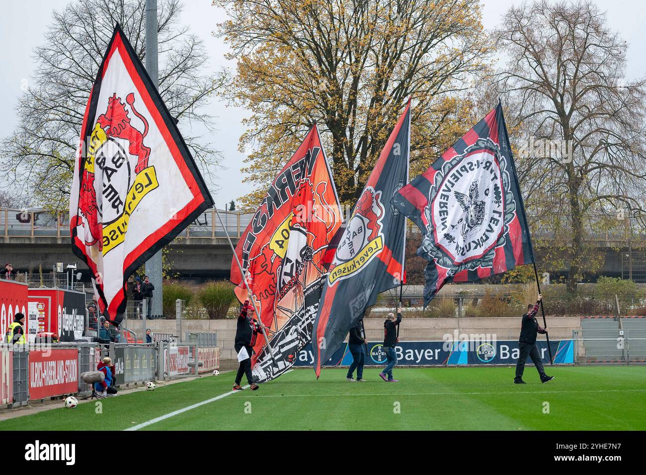 10.11.2024, Fussball: Google Pixel Frauen-Bundesliga, Saison 2024/2025, 09. Spieltag, Bayer 04 Leverkusen - 1. FFC Turbine Potsdam im Ulrich-Haberland-Stadion in Leverkusen. Die Fahnenschwenker aus Leverkusen kommen vor dem Spiel auf den Platz. Wichtiger Hinweis: Gemaess den Vorgaben der DFL Deutsche Fussball Liga bzw. Des DFB Deutscher Fussball-Bund ist es untersagt, in dem Stadion und/oder vom Spiel angefertigte Fotoaufnahmen in Form von Sequenzbildern und/oder videoaehnlichen Fotostrecken zu verwerten bzw. Verwerten zu lassen. Foto: Kirchner-Media/TH Stockfoto