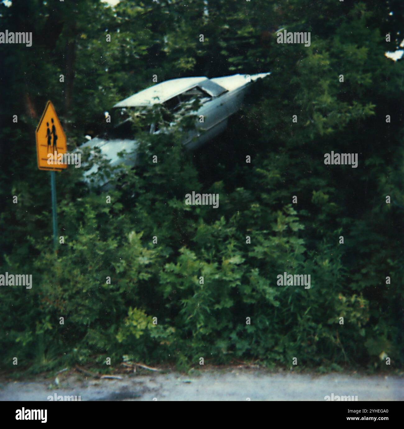 Auto steckt im Baum, nachdem er auf einem Hügel von einer Straße gefahren ist, ca. 1984. Stockfoto