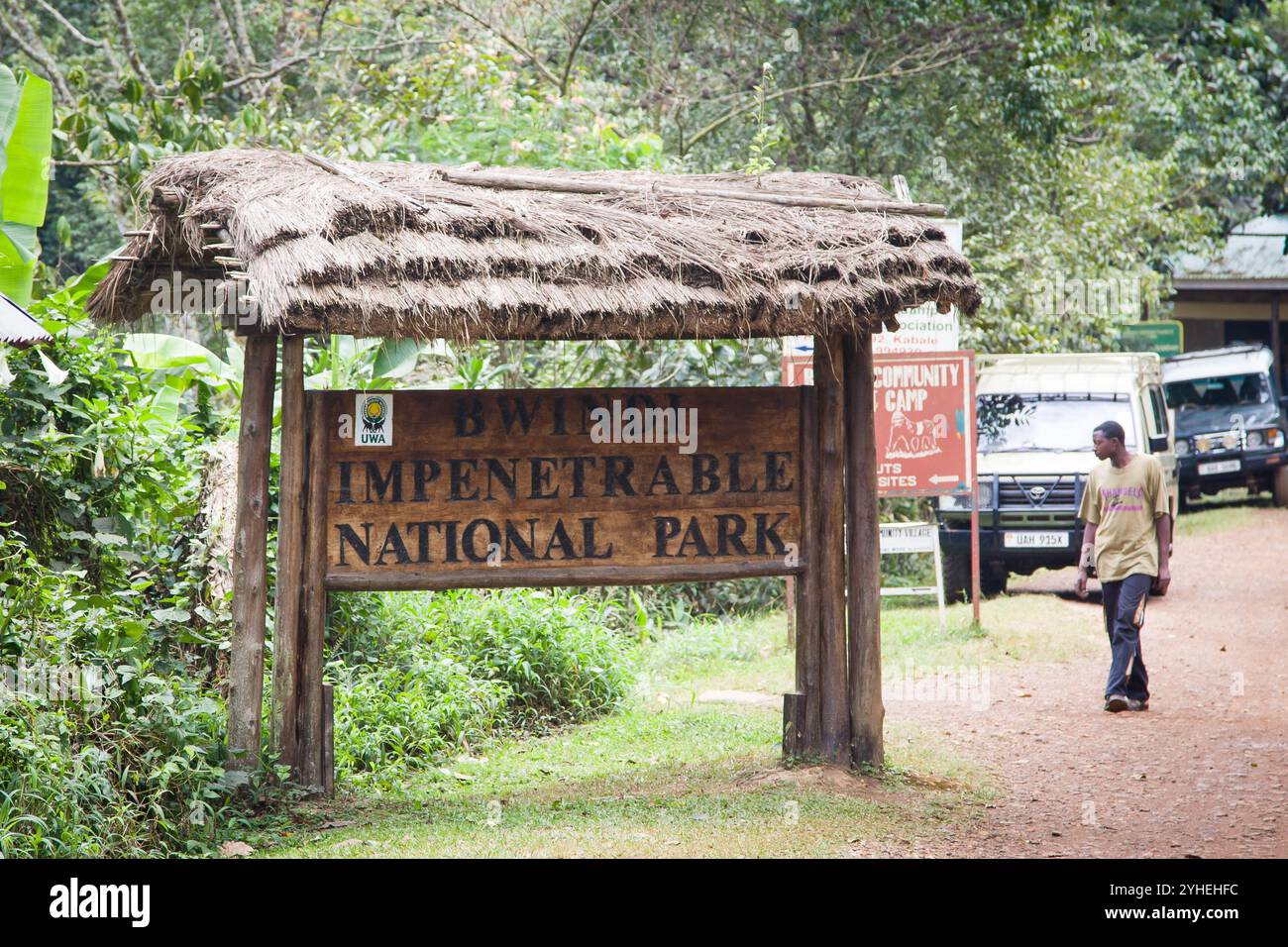 Der Eingang zum Bwindi Unpenetrable National Park in Uganda ist das Tor zur Erkundung des montanen Bwindi Unpenetrable Forest im Albertine Rift. Stockfoto