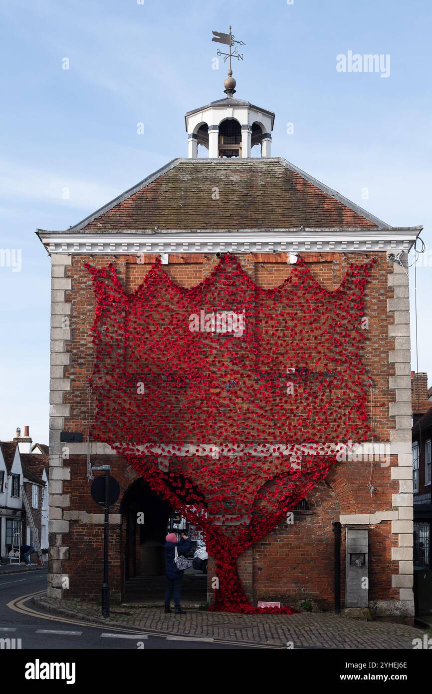 Old Amersham, Buckinghamshire, Großbritannien. November 2024. Eine Dame macht Fotos von 3.200 handgefertigten Mohnblumen, die über der historischen Markthalle in Old Amersham, Buckinghamshire, gezogen wurden. Sie wurden von Schülern der Beacon School in Chesham Bois, Amerham, gebaut. Quelle: Maureen McLean/Alamy Live News Stockfoto