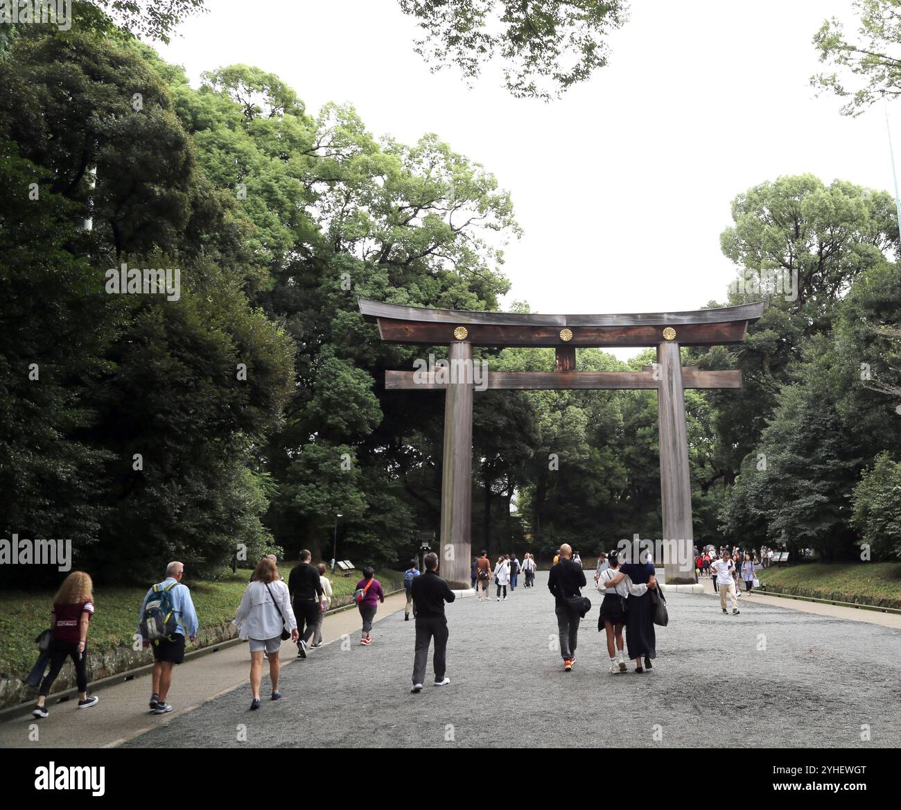 Torii-Tore trennen profane und heilige Räume. Dieses Tor befindet sich am Meiji Jingu-Schrein in Tokio, Japan, zu Ehren von Kaiser Meiji und Kaiserin Shoken Stockfoto