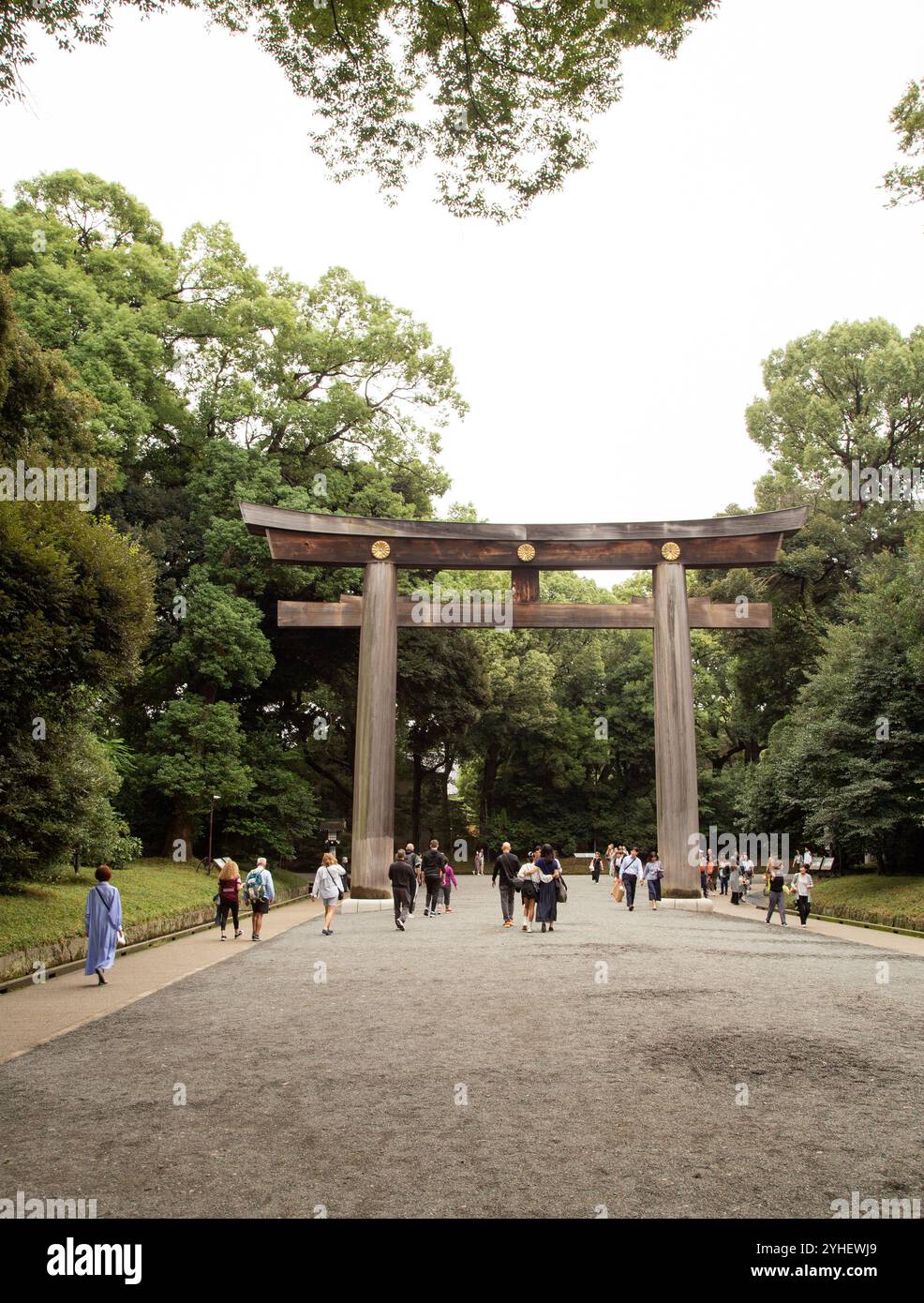 Torii-Tore trennen profane und heilige Räume. Dieses Tor befindet sich am Meiji Jingu-Schrein in Tokio, Japan, zu Ehren von Kaiser Meiji und Kaiserin Shoken Stockfoto