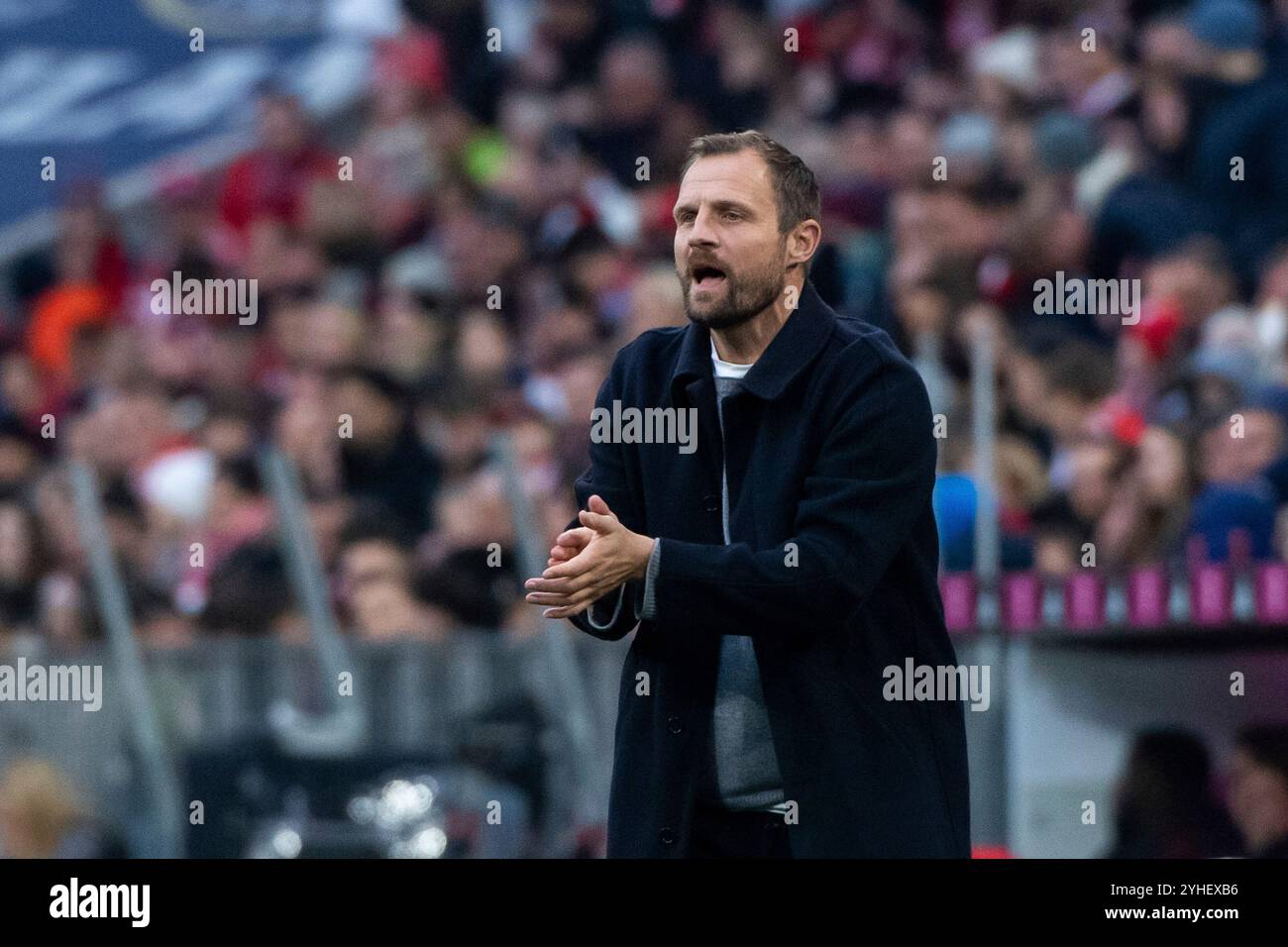 Bo Svensson (FC Union Berlin, Trainer) gestikuliert, GER, FC Bayern München (FCB) vs. 1. FC Union Berlin (FCU), Fussball-Bundesliga, 9. Spieltag, Saison 2024/2025, 02.11.2024 DFB/DFL-Vorschriften verbieten jede Verwendung von Fotografien als Bildsequenzen und/oder Quasi-Video Foto: Eibner-Pressefoto/Michael Memmler Stockfoto