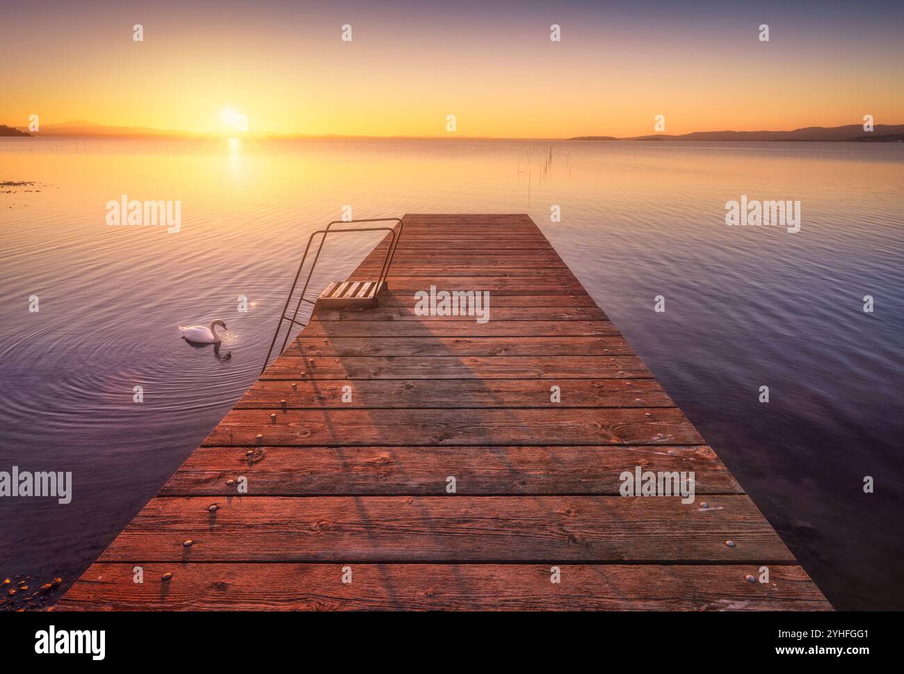 Holzpier am Trasimeno-See und ein Schwan bei Sonnenuntergang. Torricella, Magione, Provinz Perugia, Region Umbrien, Italien Stockfoto