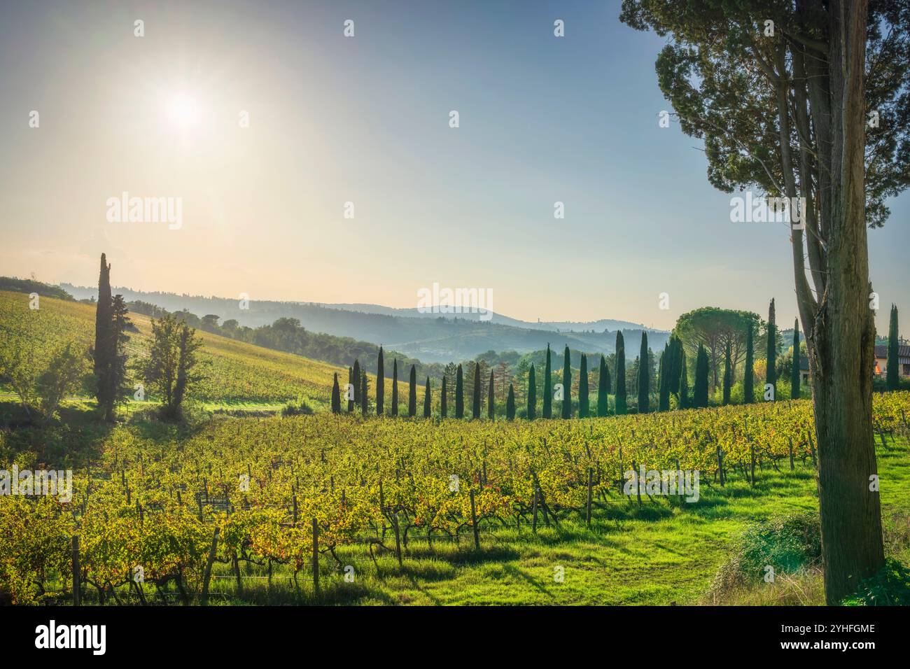 Zypressen- und Chianti-Weinberge im Herbst. Provinz Florenz, Toskana, Italien, Europa. Stockfoto