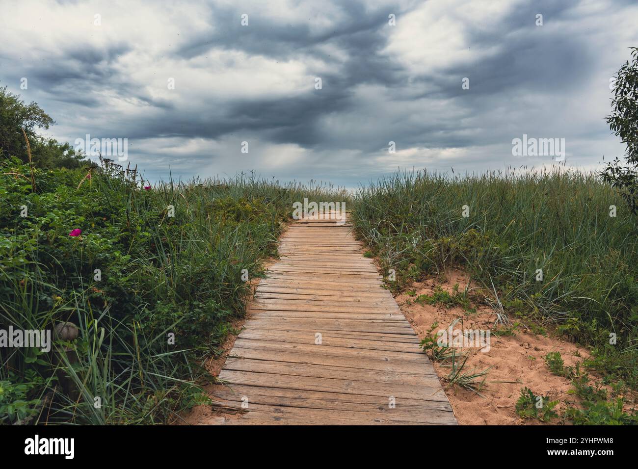 Eine hölzerne Promenade schlängelt sich durch grasbewachsene Dünen und führt unter einem bewölkten Himmel zum Strand, wo Sie die ruhige und rustikale Schönheit eines Küsten-lan einfangen Stockfoto