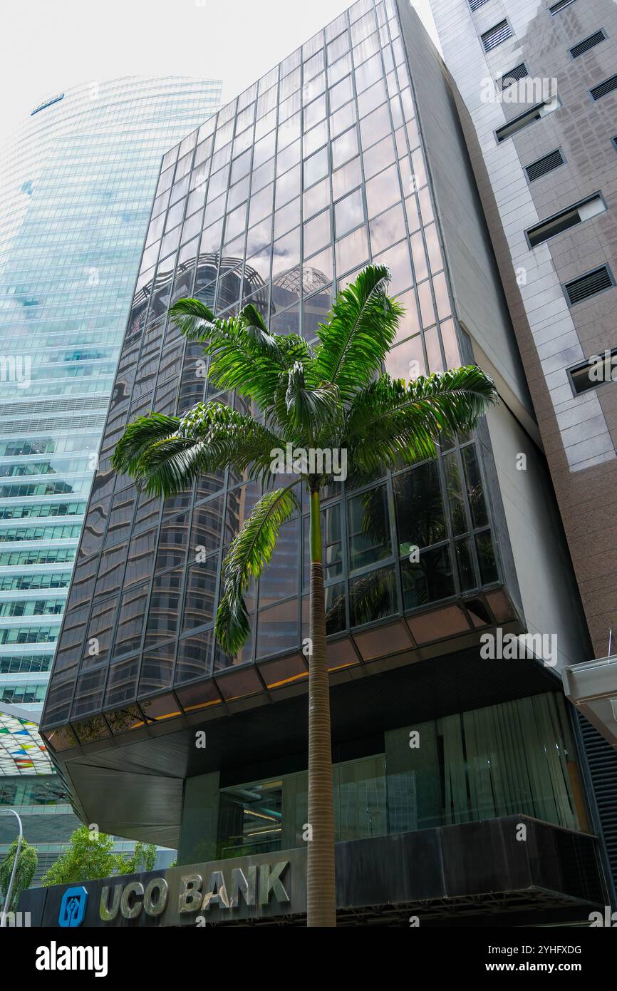Eine Palme vor einem Glashochhaus der UCO Bank im Finanzviertel von Singapur. Singapur City Area ist eine Weite von Pflanzen und Bäumen. Stockfoto