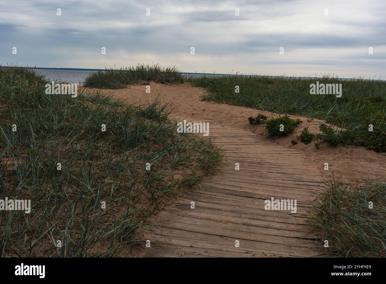 Eine hölzerne Promenade schlängelt sich durch grasbewachsene Dünen und führt unter einem bewölkten Himmel zum Strand, wo Sie die ruhige und rustikale Schönheit eines Küsten-lan einfangen Stockfoto