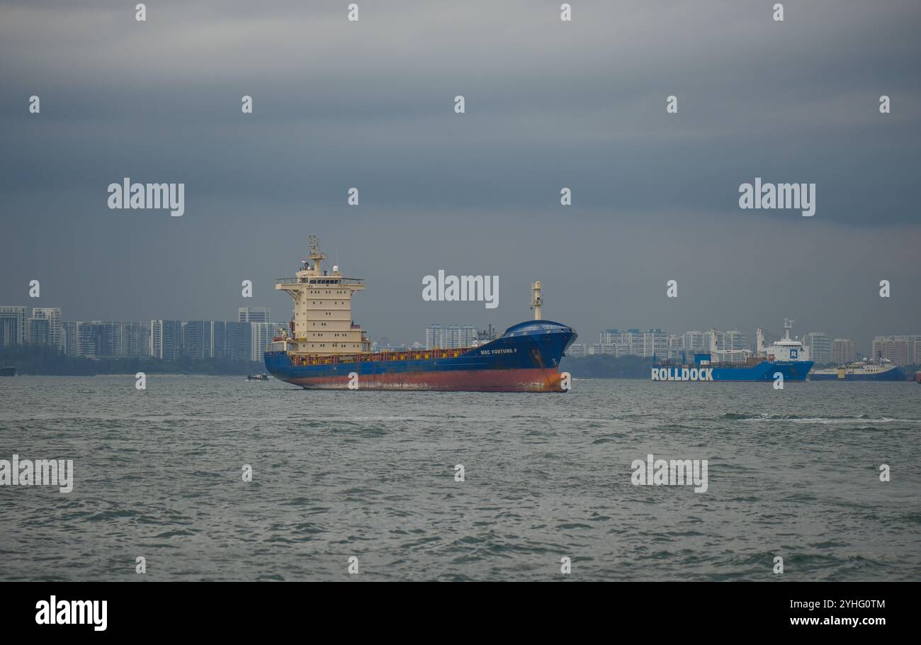 MSC Fortune F ankerte in Singapur in der Singapore Straight. Stockfoto