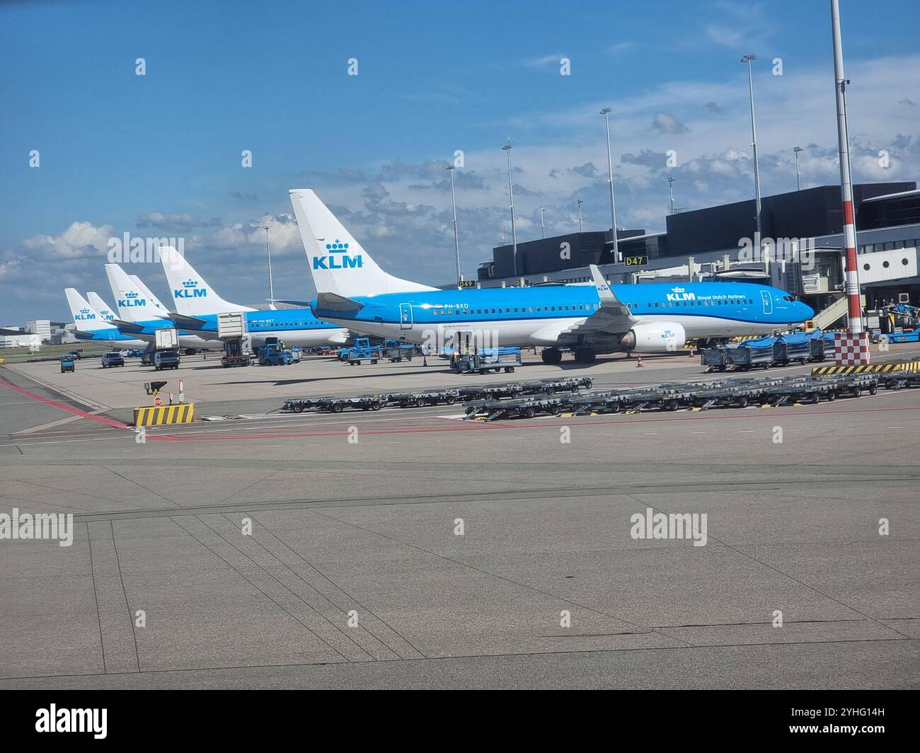 Reihe von weiß-blauen KLM-Flugzeugen am Flughafen Schiphol Amsterdam, Niederlande; Royal Dutch Airlines - Smartphone-aufgenommenes Stockfoto