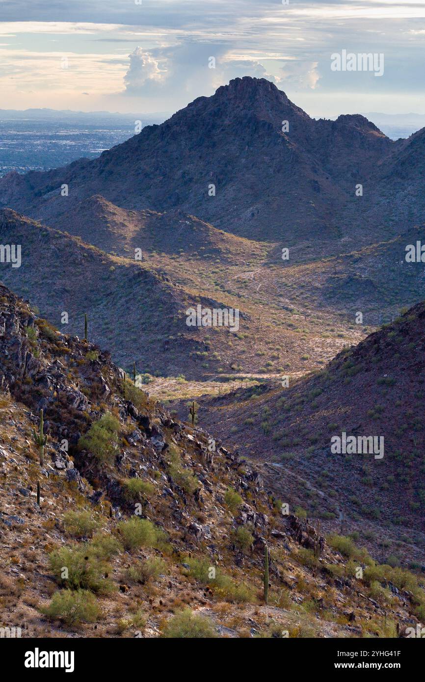 Der Piestawa Peak erhebt sich hoch über der umliegenden Landschaft jenseits des Two Bit Peak Trail. Phoenix Mountains Preserve, Arizona Stockfoto