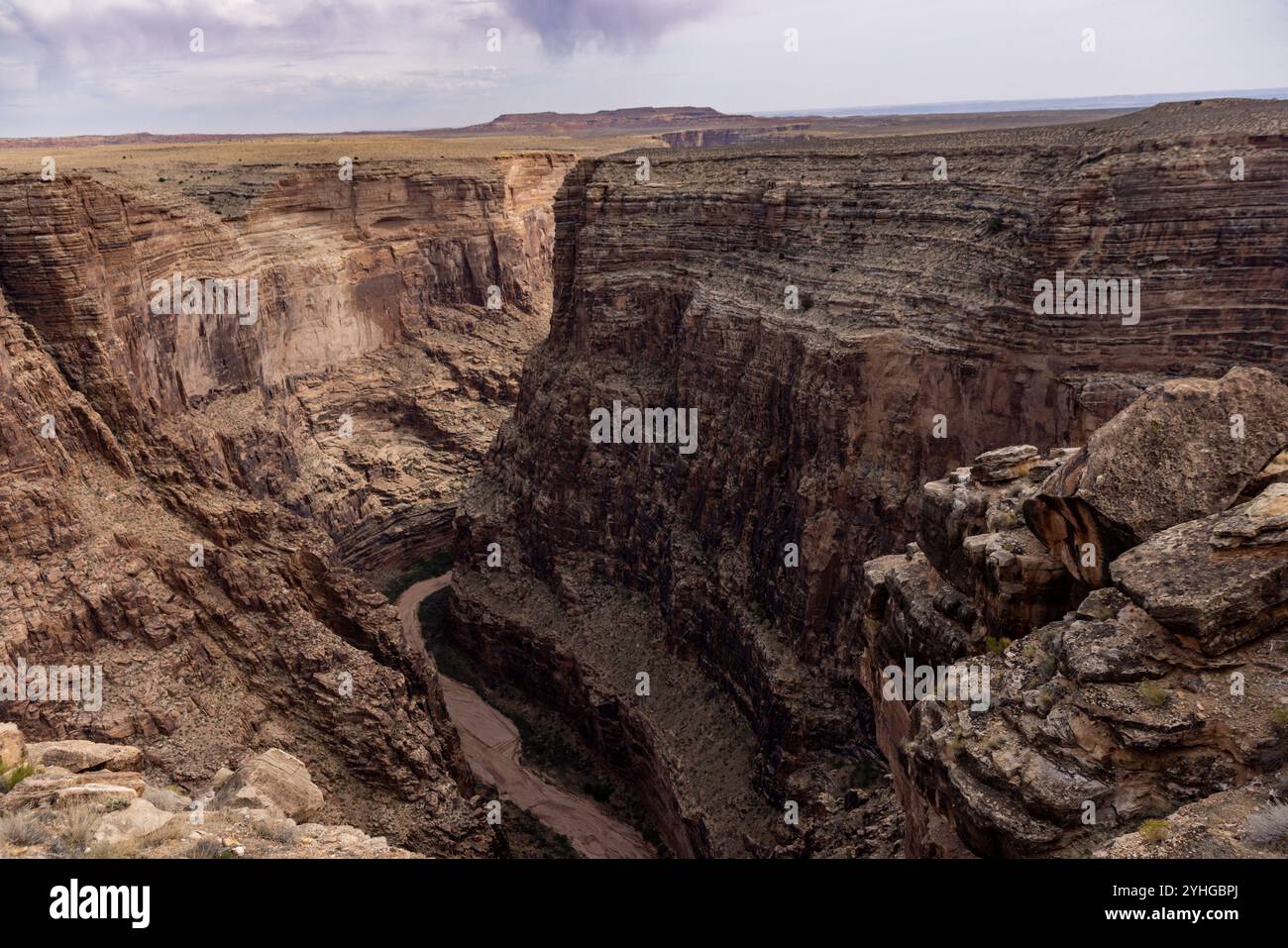 Die Little Colorado River Gorge grenzt an den Grand Canyon National Park in Arizona. Stockfoto