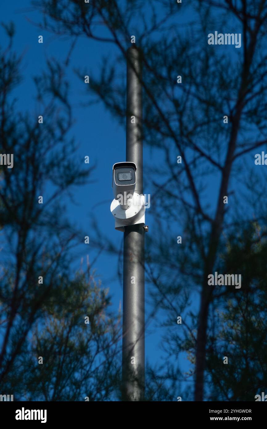 Identitätsprüfung per CCTV: Überwachungskamera in einem Park hinter Bäumen Stockfoto