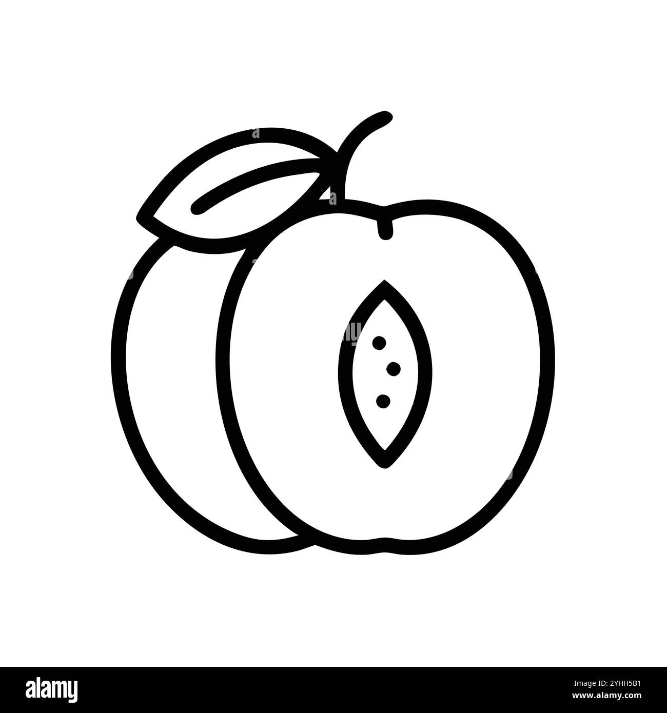 Einfache Vektor-Illustration einer Aprikose, in einem einfachen und sauberen Stil, geeignet für Lebensmittel und Gesundheit Themen. Flache Illustration der Früchte. Stock Vektor