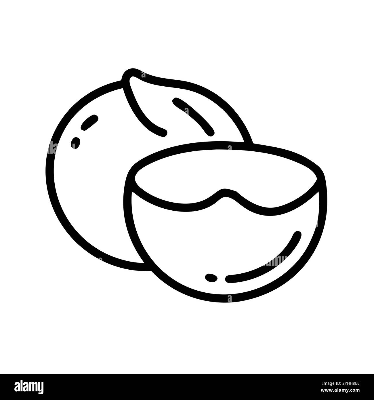 Einfache Vektor-Illustration einer Kokosnuss, in einem einfachen und sauberen Stil, geeignet für Lebensmittel und Gesundheit Themen. Flache Illustration der Früchte. Stock Vektor