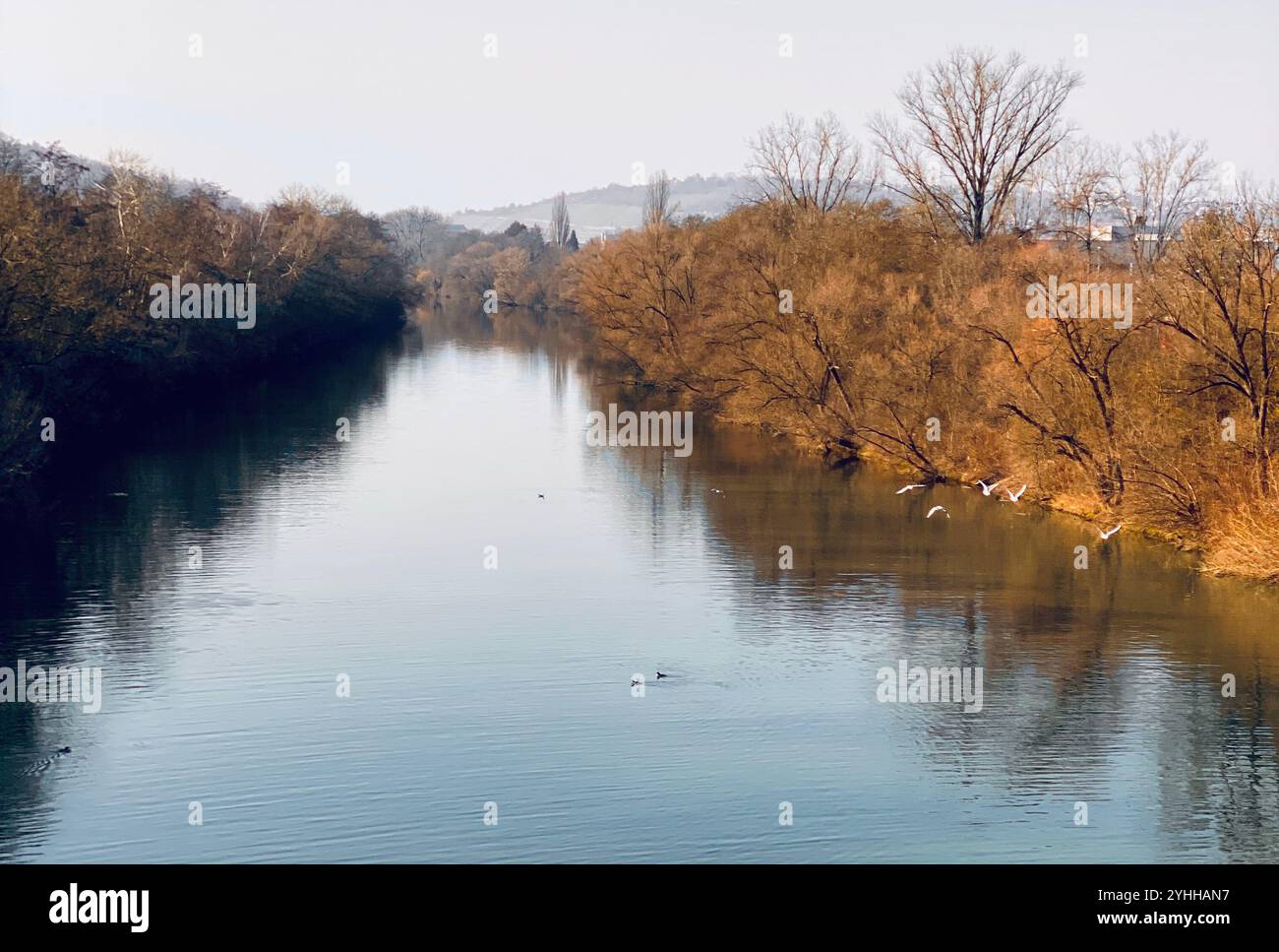 Neckar in Deutschland - Smartphone-aufgenommenes Stockfoto