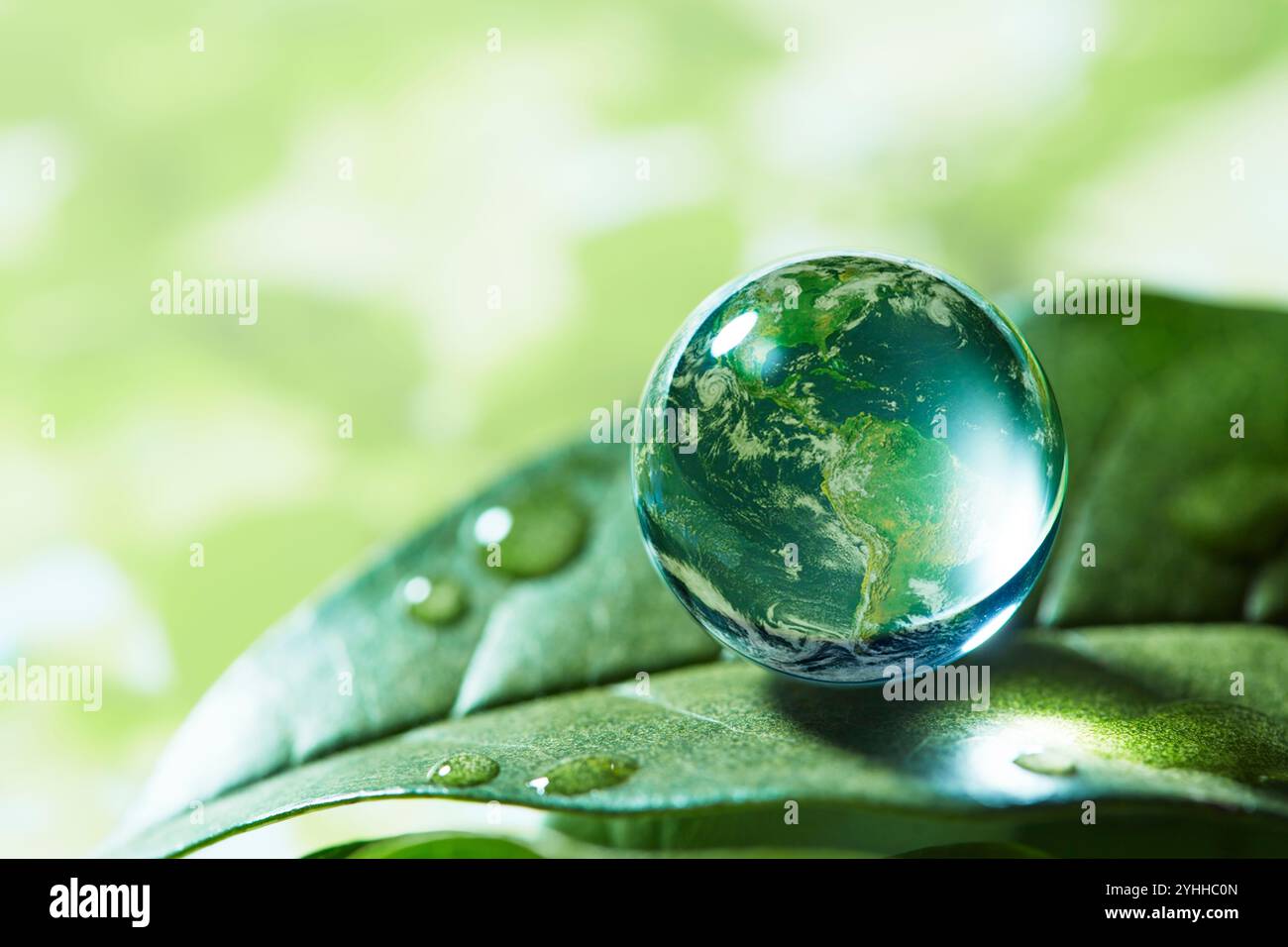 Glaskugel und grüne Blätter auf der Erde Stockfoto