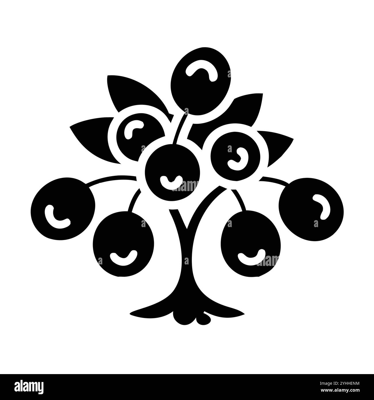 Einfache Vektor-Illustration einer Jabuticaba, in einem einfachen und sauberen Stil, geeignet für Lebensmittel und Gesundheit Themen. Flache Illustration der Früchte. Stock Vektor
