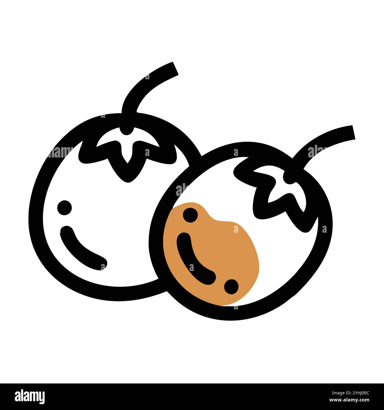 Einfache Vektor-Illustration eines Medlar, in einem einfachen und sauberen Stil, geeignet für Lebensmittel und Gesundheit Themen. Flache Illustration der Früchte. Stock Vektor