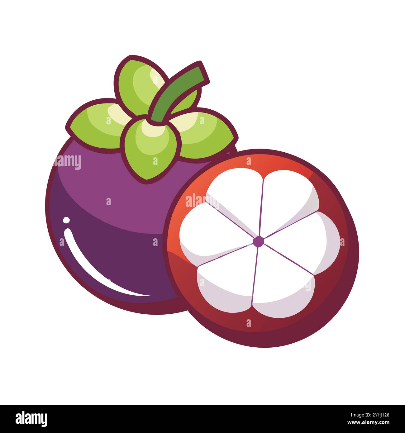 Einfache Vektor-Illustration eines Mangostans, in einem einfachen und sauberen Stil, geeignet für Lebensmittel und Gesundheit Themen. Flache Illustration der Früchte. Stock Vektor