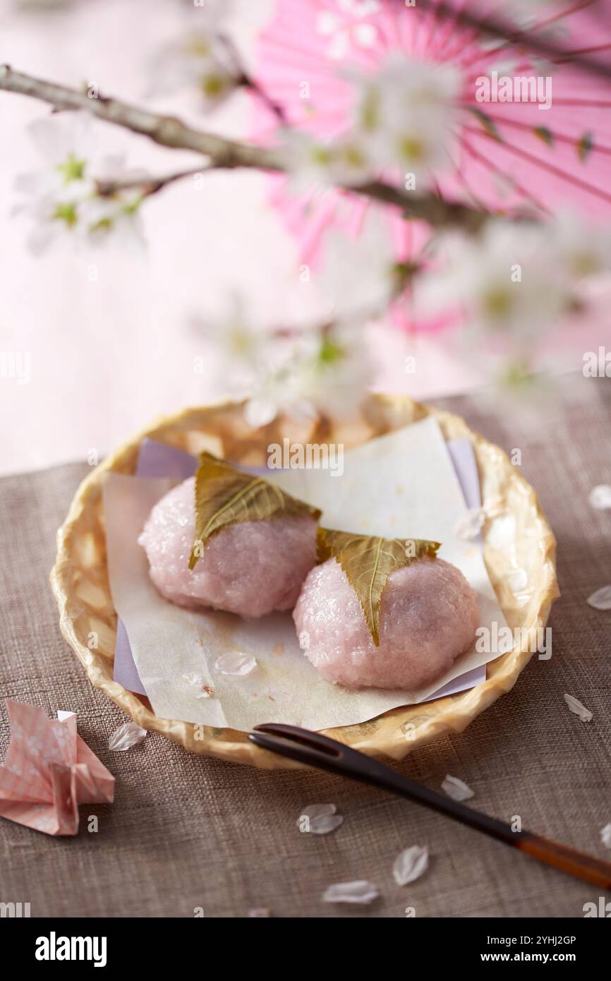 Kirschblütenkuchen unter dem Kirschbaum Stockfoto