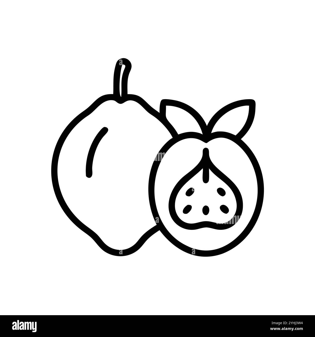 Einfache Vektor-Illustration eines Medlar, in einem einfachen und sauberen Stil, geeignet für Lebensmittel und Gesundheit Themen. Flache Illustration der Früchte. Stock Vektor