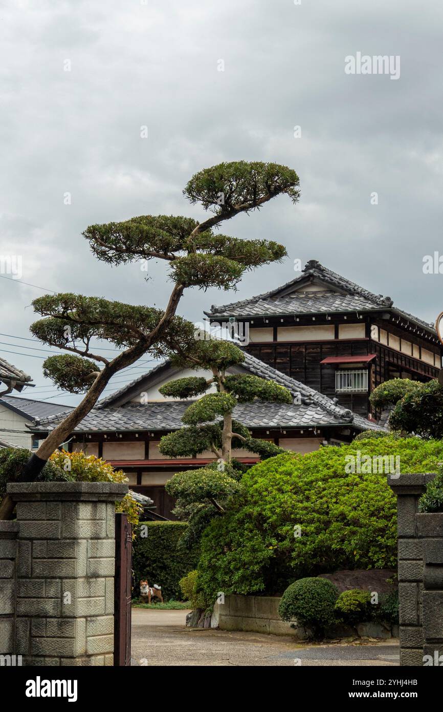Straßen von Tokio Stockfoto