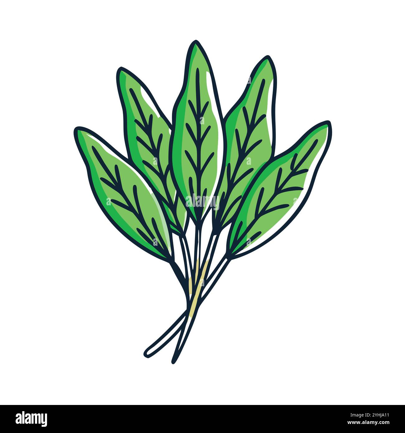 Einfache Vektor-Illustration eines Sauerampfer, in einem einfachen und sauberen Stil, geeignet für Lebensmittel und Gesundheit Themen. Flache Illustration der Früchte. Stock Vektor