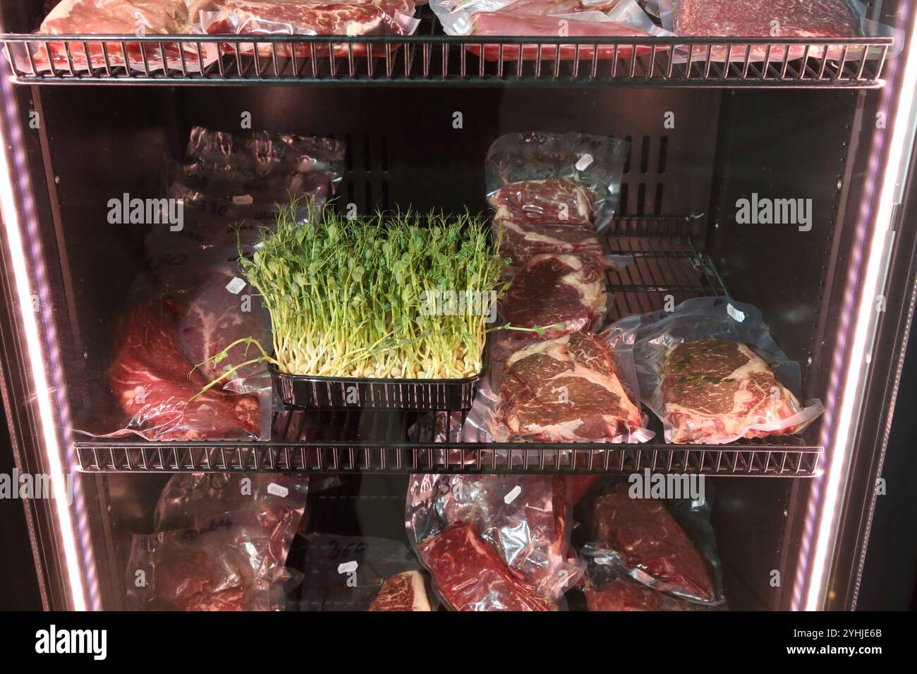 Rindersteaks werden in einem speziellen Kühlschrank aufbewahrt, bevor sie gekocht werden. Steaks in luftdichten Verpackungen im Kühlschrank. Reifung von Steaks vor dem Kochen. Stockfoto