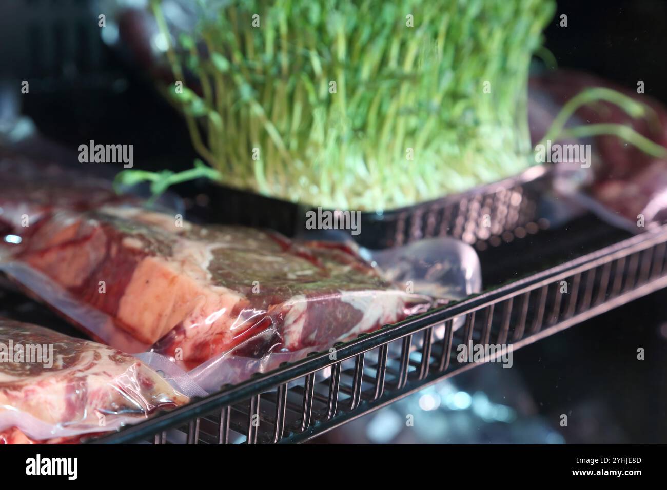 Rindersteaks werden in einem speziellen Kühlschrank aufbewahrt, bevor sie gekocht werden. Steaks in luftdichten Verpackungen im Kühlschrank. Reifung von Steaks vor dem Kochen. Stockfoto
