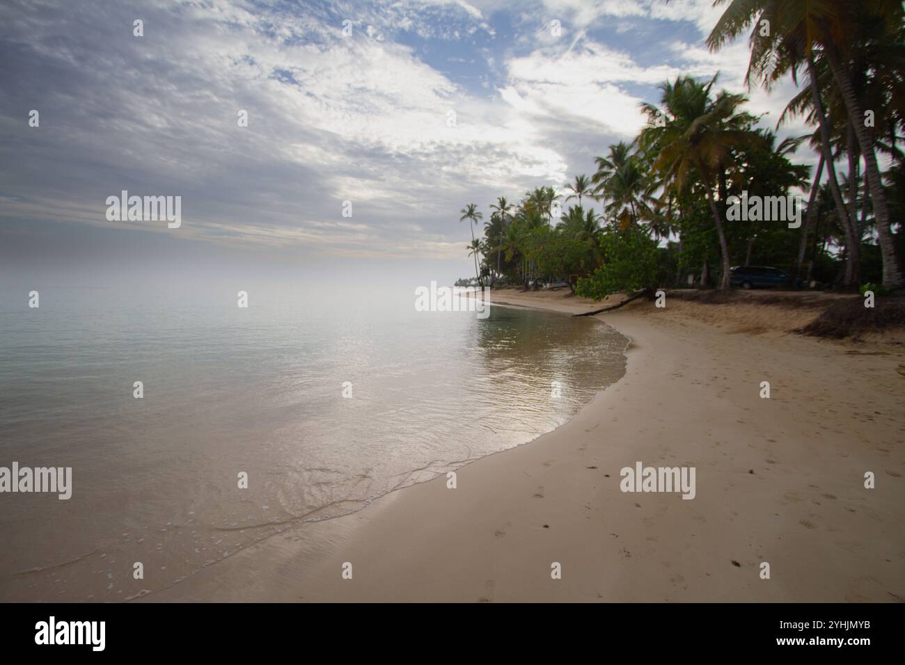 Hohe Palmen schwanken sanft über einen Sandstrand, mit einem ruhigen Meer, das sich bis zum Horizont unter einem teilweise bewölkten Himmel erstreckt. Die Szene ist friedlich. Stockfoto
