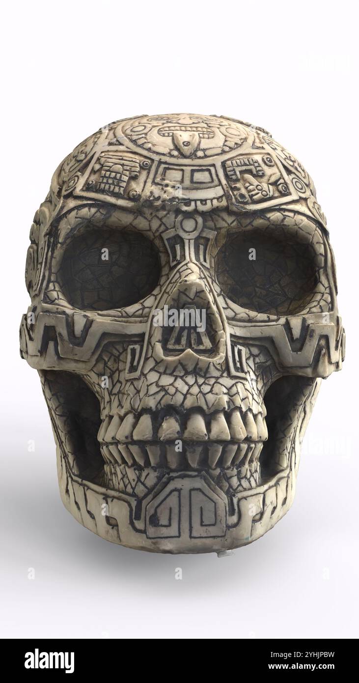 Schädel mit weißem Hintergrund Stockfoto