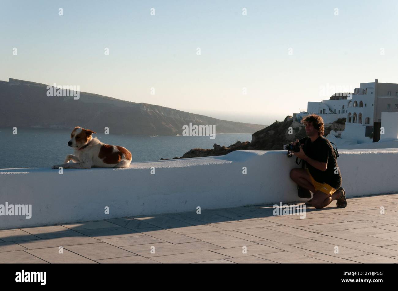 Junger Mann fotografiert einen niedlichen Hund, der sich an einer weißen Wand im Dorf Oia in Griechenland mit der mediterranen Küstenkulisse auf der Insel S entspannt Stockfoto