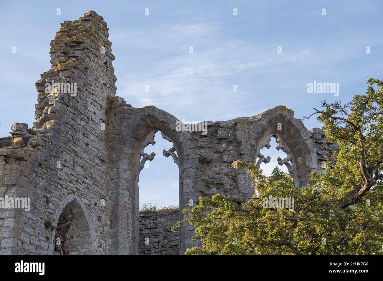 Gotische Kirchenruinen, Hansestadt Visby, UNESCO-Weltkulturerbe, Gotland Island, Schweden, Europa Stockfoto