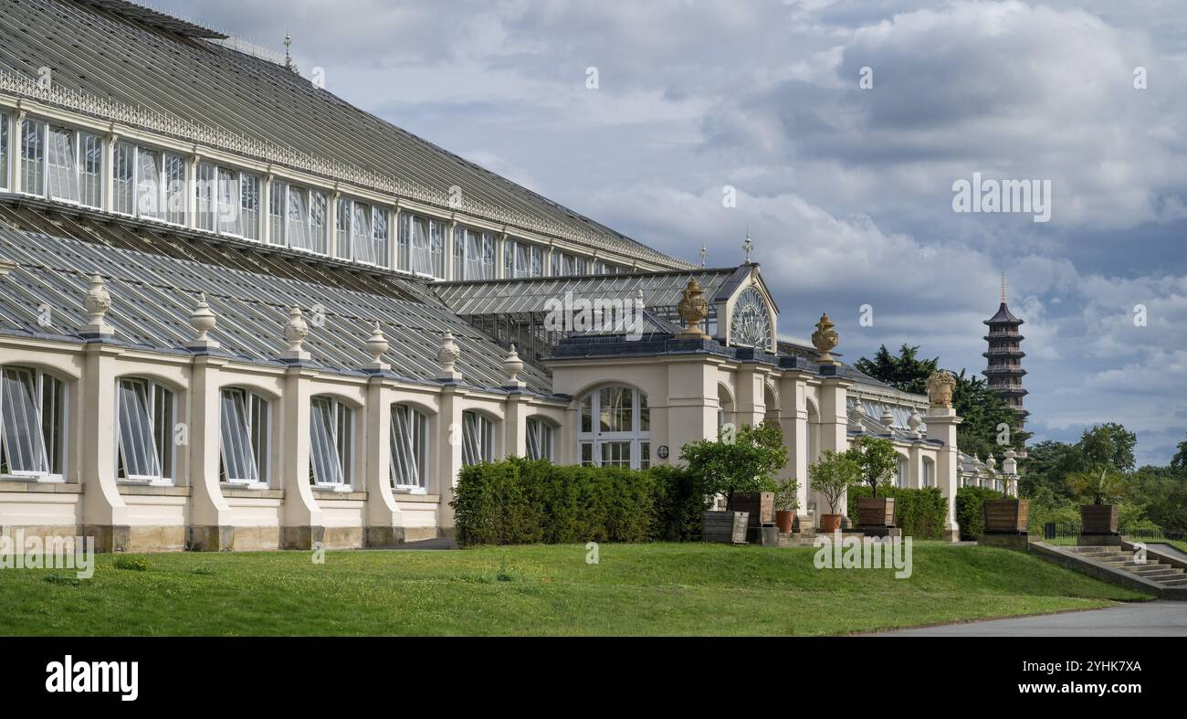 Gemäßigtes Haus, das größte viktorianische Gewächshaus der Welt, mit der historischen Großen Pagode im Hintergrund, Royal Botanic Gardens (Kew Gardens) Stockfoto