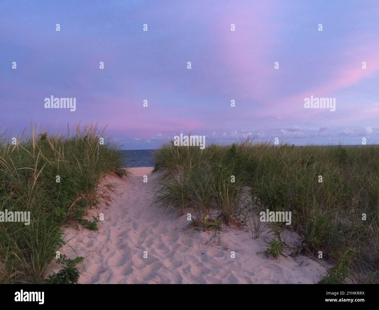 Ein sandiger Pfad, der durch grasbewachsene Dünen zum Strand in der Abenddämmerung führt, mit einem in sanften violetten und rosafarbenen Tönen gemalten Himmel. Die beschauliche Szene fängt den Frieden ein. Stockfoto
