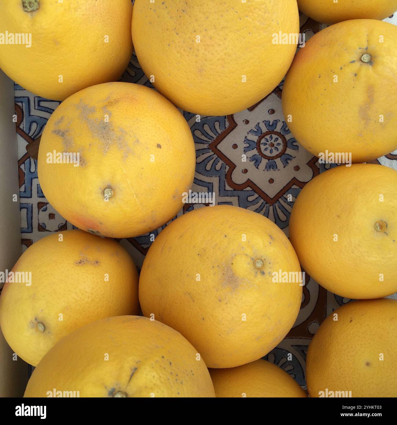 Eine Nahaufnahme frischer gelber Grapefruits auf einem dekorativen Fliesenhintergrund. Die lebendigen Zitrusfrüchte betonen natürliche Texturen, Stockfoto