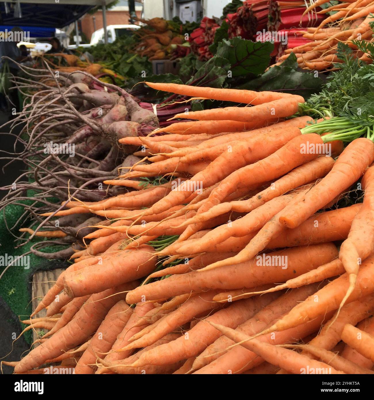 Frisch geerntete Karotten stapeln sich auf einem Bauernmarkt, umgeben von anderem lebhaftem Gemüse. Stockfoto