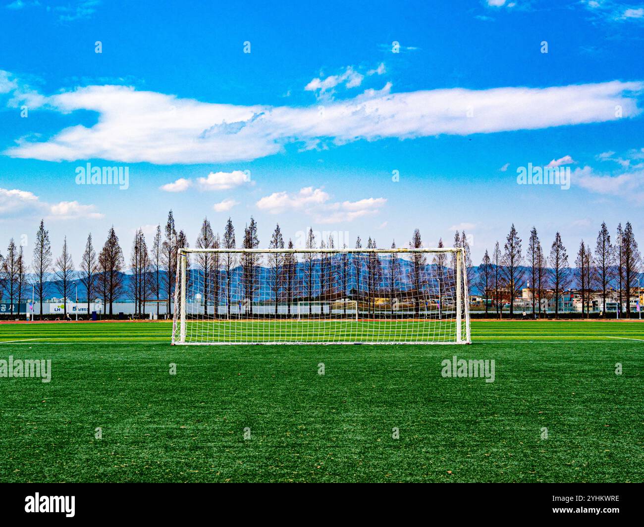 Landschaftlich schönes Fußballfeld mit Torpfosten und baumgesäumtem Hintergrund Stockfoto