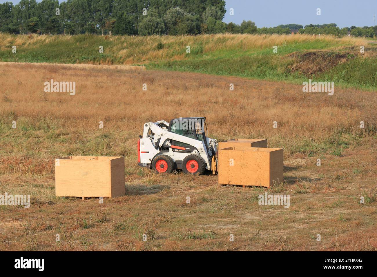 Ein Kompaktlader Bobcat arbeitet im Sommer mit Kästen mit Grassamen auf einem Feld auf dem niederländischen Land Stockfoto