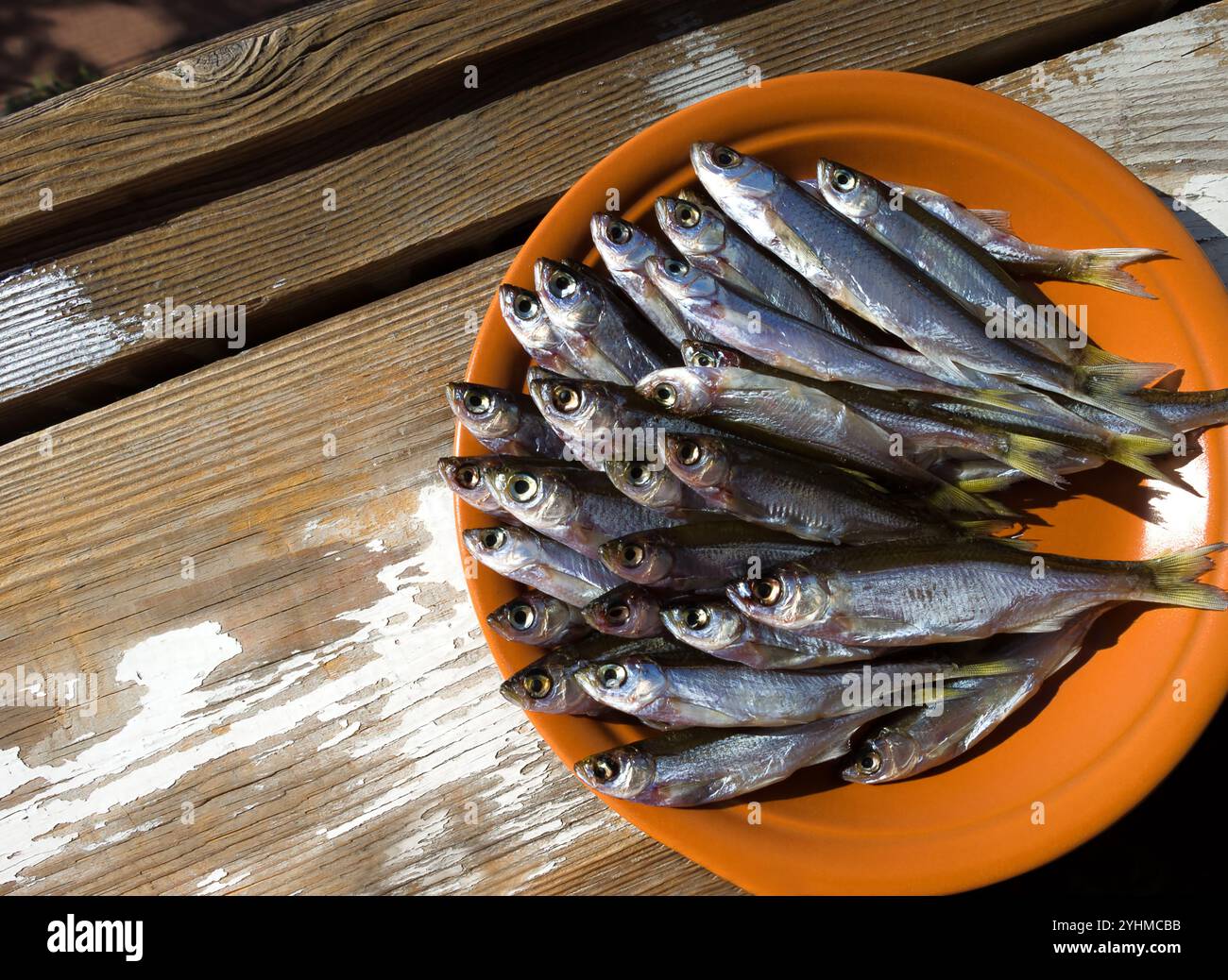 Getrockneter Fisch auf einem Teller. Sehr leckerer, fettiger Fisch für Bier. Stockfoto