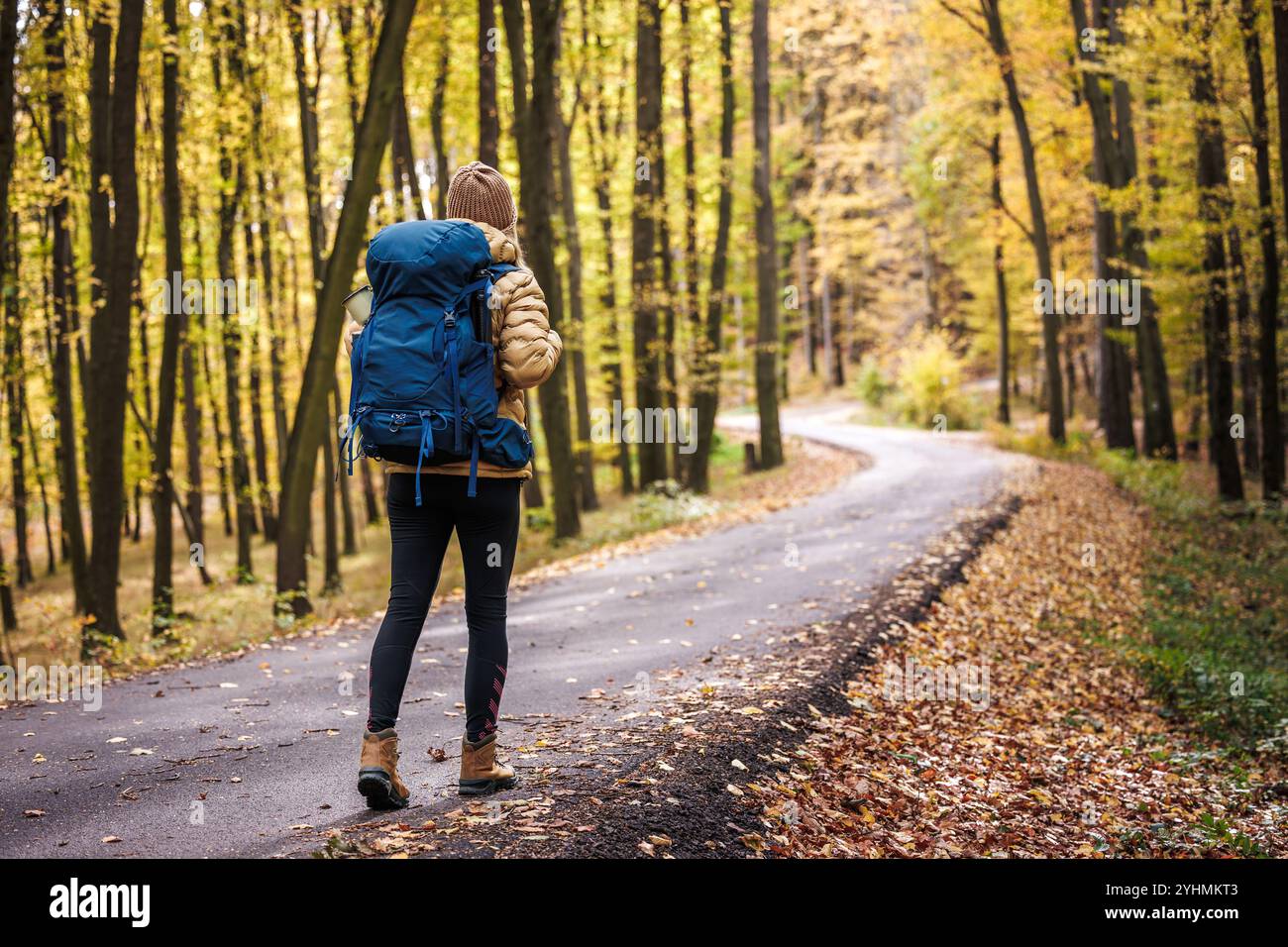 Backpacker auf einer leeren Landstraße durch einen Herbstwald. Frau mit Rucksack auf Abenteuerreise. Alleinreisekonzept Stockfoto