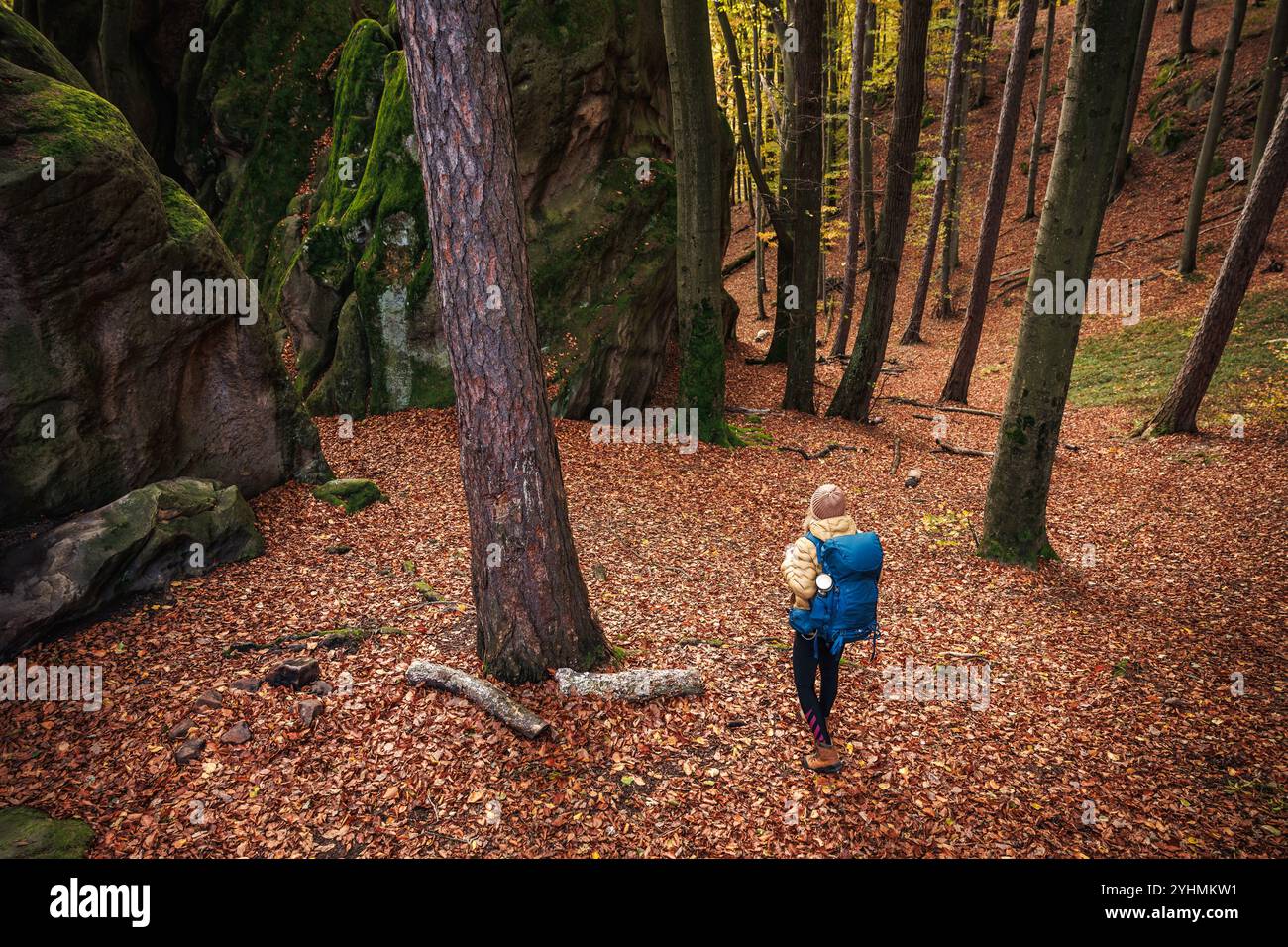 Frau wandert im Herbstwald. Wanderer mit Rucksack erkunden Wälder in der Herbstsaison Stockfoto