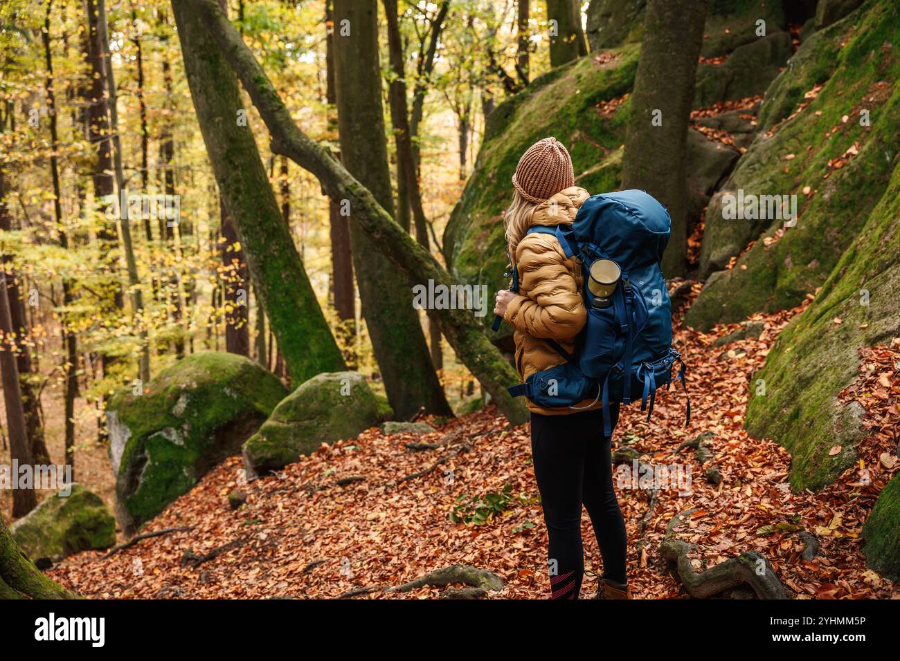 Frau wandert im Herbstwald. Wandererin mit Rucksack, die in der Herbstsaison Wälder erkundet Stockfoto
