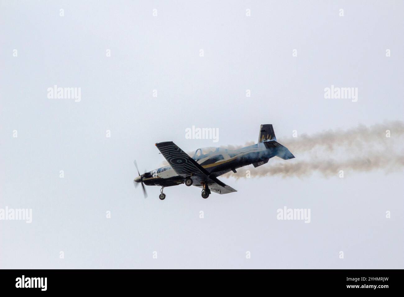 Daedalus Beechcraft T-6 Texan II ist ein einmotoriges Turboprop-Flugzeug der Textron Aviation. Ein Ausbilderflugzeug auf der Basis des Pilatus PC-9, Stockfoto