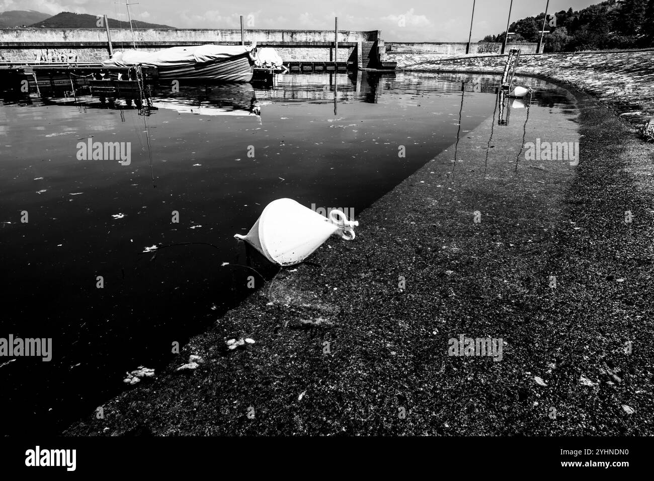 Panoramablick auf den Lago Maggiore von der lombardischen Küste mit Bäumen und charmanten kleinen Häfen mit Fischerbooten auf dem Lago Maggiore in der Provinz Stockfoto