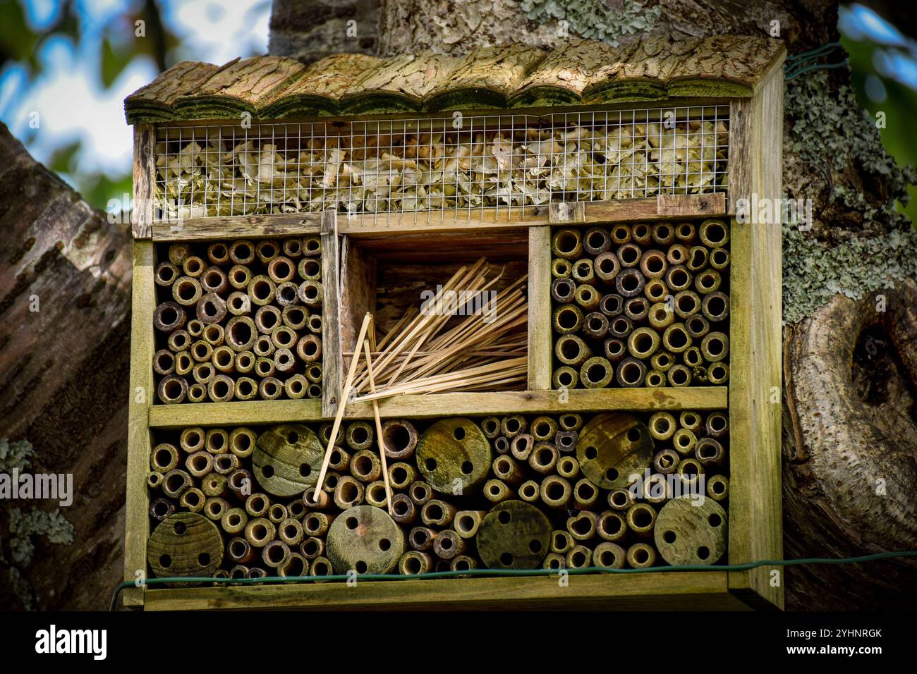 Bughotel, umweltfreundliche Konzepte Stockfoto